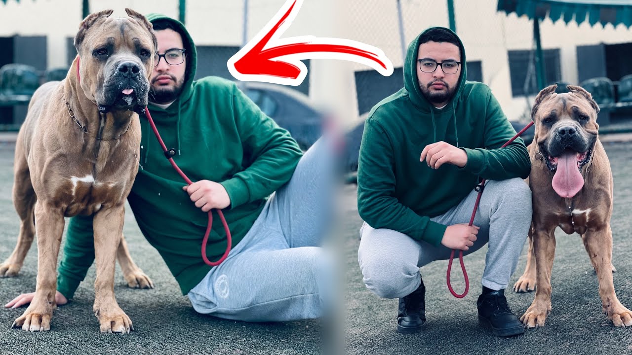 مشينا عند صاحب أحسن كاني كووسو بالدار البيضاء 😱 شوف علاش