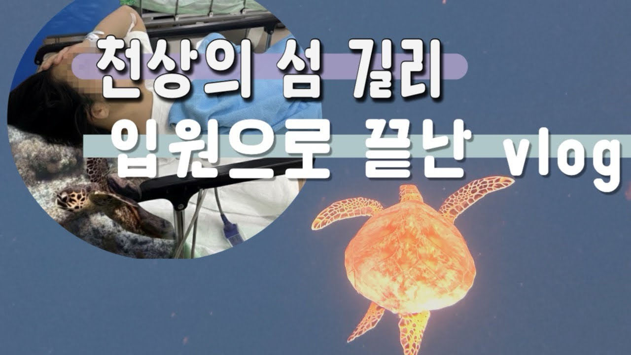 길리섬 프리이빙 플라잉요가 러닝까지 뿌시고 한국와서 입원한 Vlog