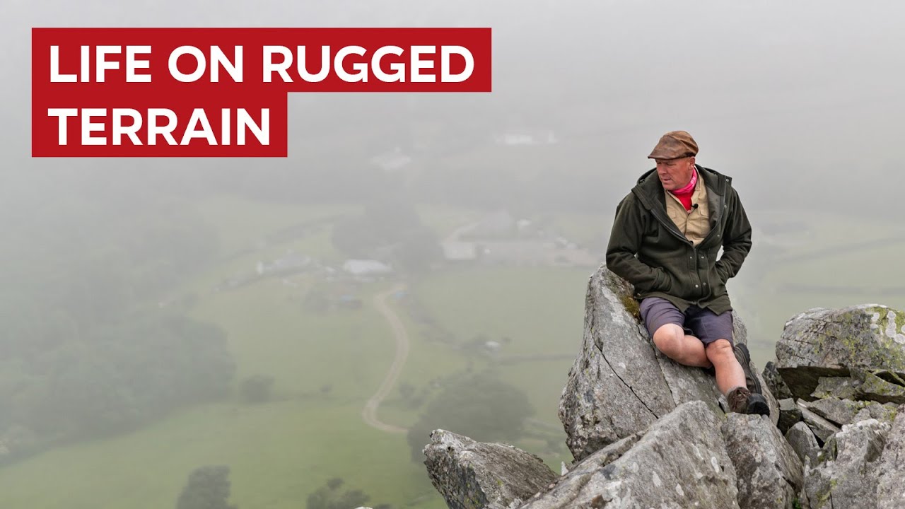 Life on Rugged Terrain