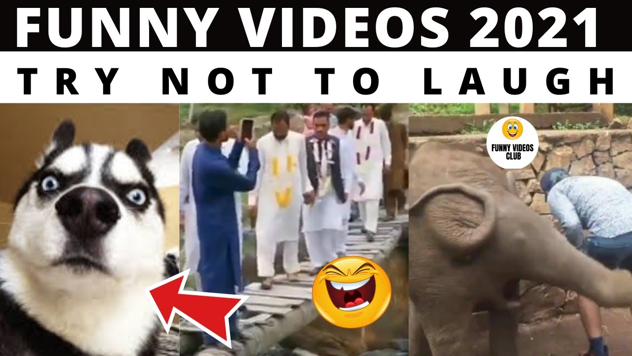 25 most viral videos of 2021|funny tik tok monday funny videos | try not to laugh| Funny Dose