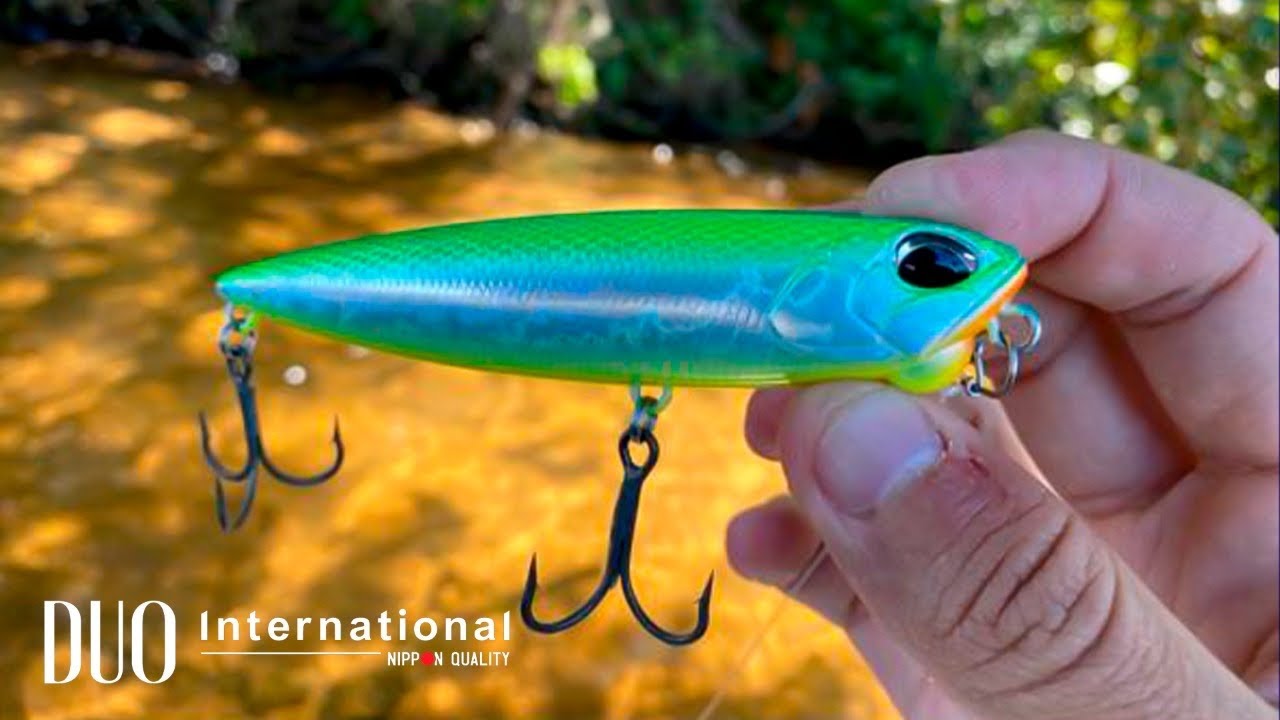 STICK, ZARA OU JUMPING BAIT ???  |   DUO REALIS PENCIL 100