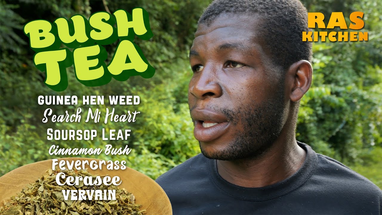 Bush Tea Hike with Coppy! Guinea Hen Weed, Search Mi Heart & More 🌿