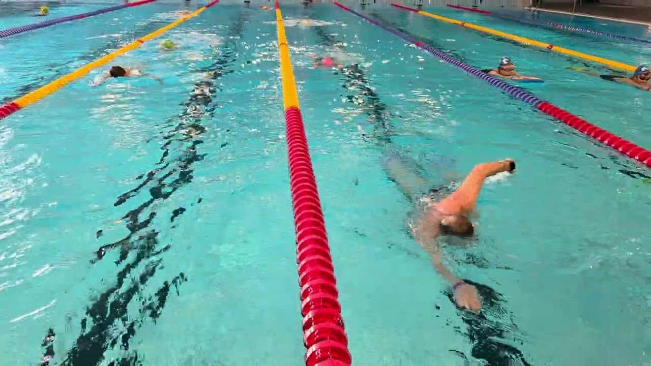 Dalregementets IF 65+  16 februari 2026 