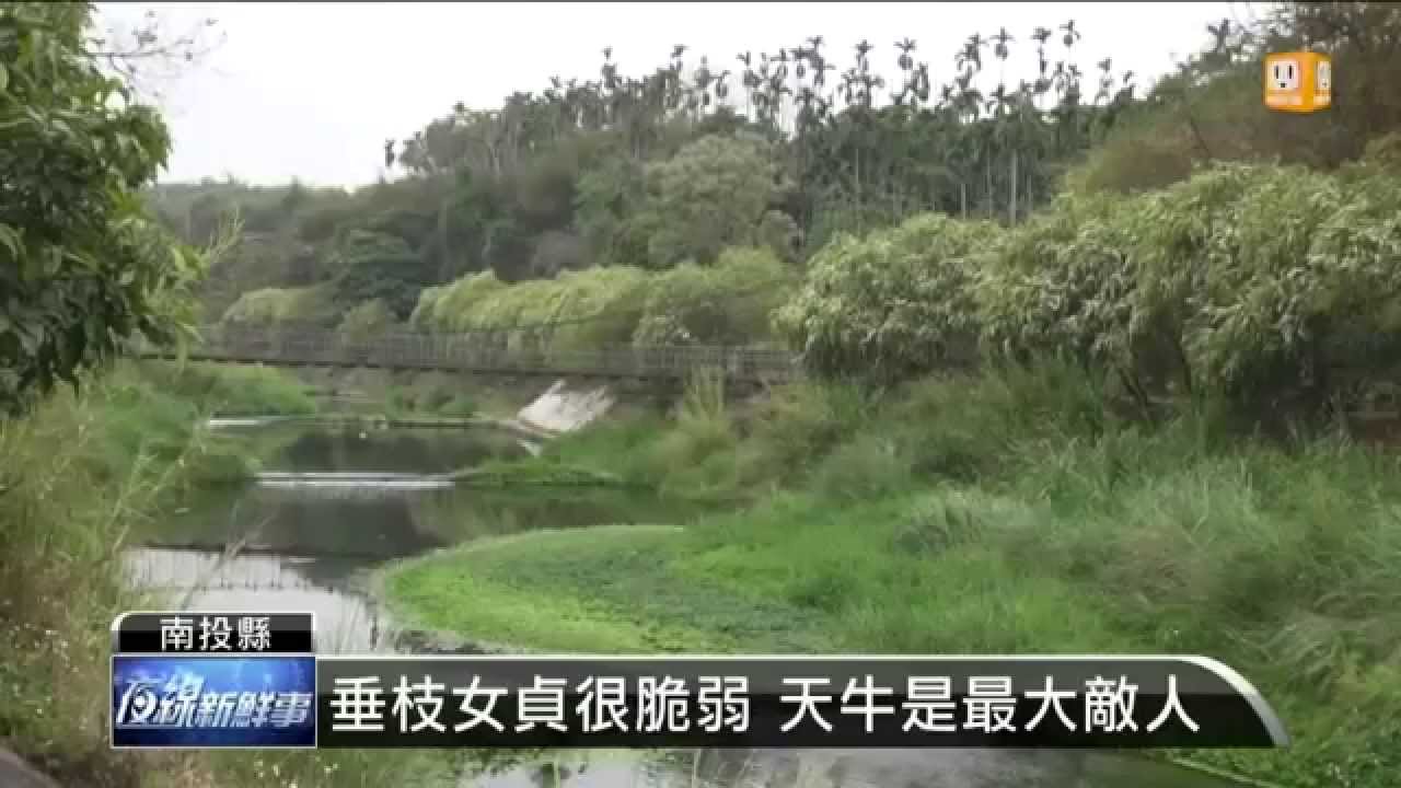 【2015.03.13】竹山下坪單車道 