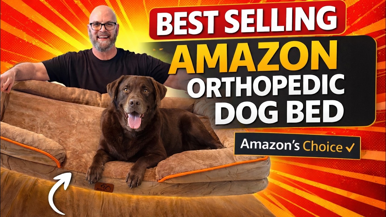 Я купила самую продаваемую ортопедическую лежанку для собак на Amazon… Стоит ли она своих денег? ...