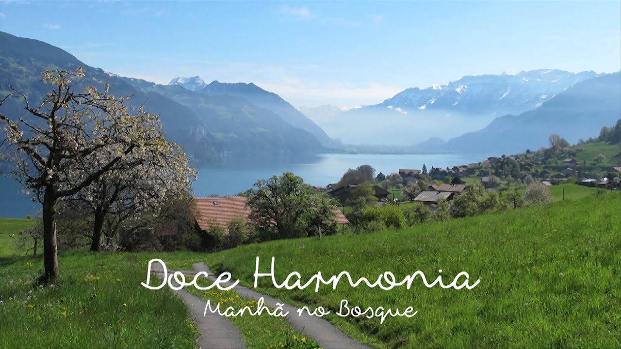 Relax Meditation Music Sweet Harmony Morning in the Forest
