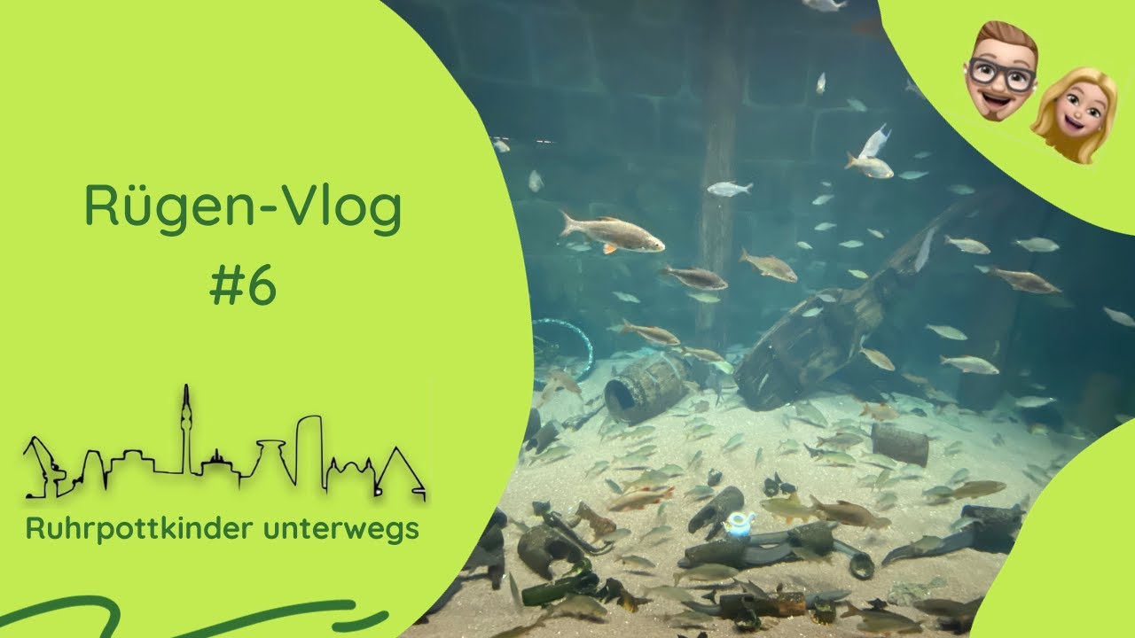 Rügen-Vlog #6  - Stralsund und das Ozeaneum