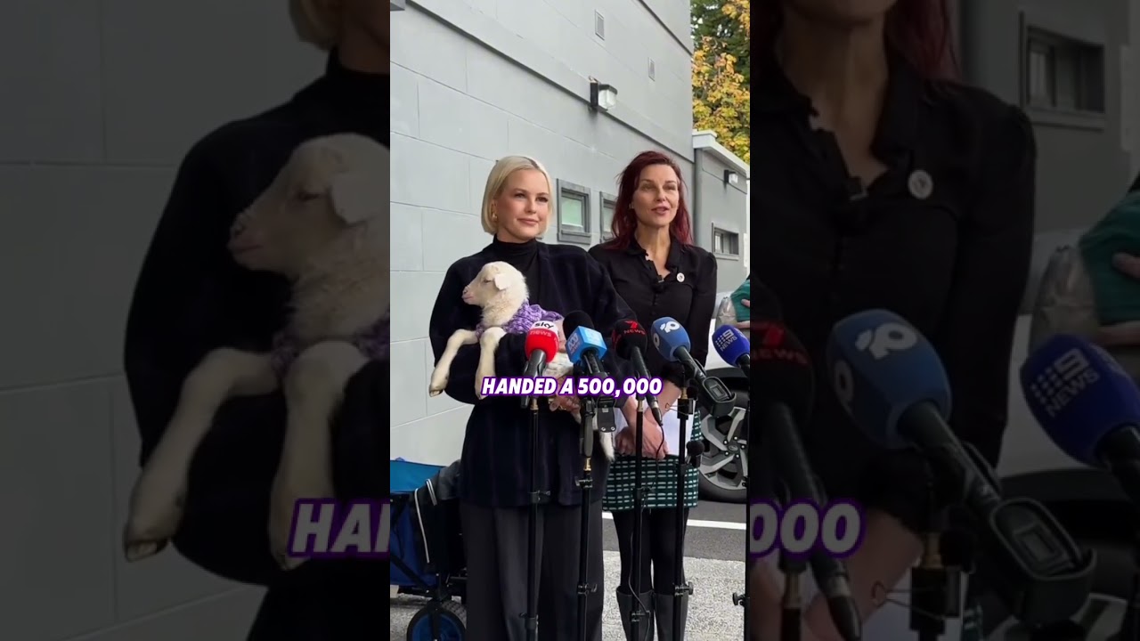 Депутат Джорджи Пёрселл призывает Джасинту Аллан запретить калечащие операции на ягнятах
