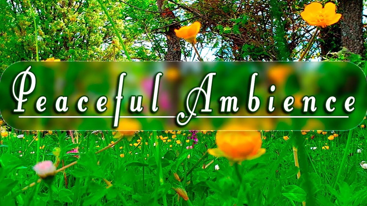 Nature Therapy 🌿🌷͙֒ Healing Spring Sounds to start Your Day with POSITIVE ENERGY 🌿 Peaceful Ambience
