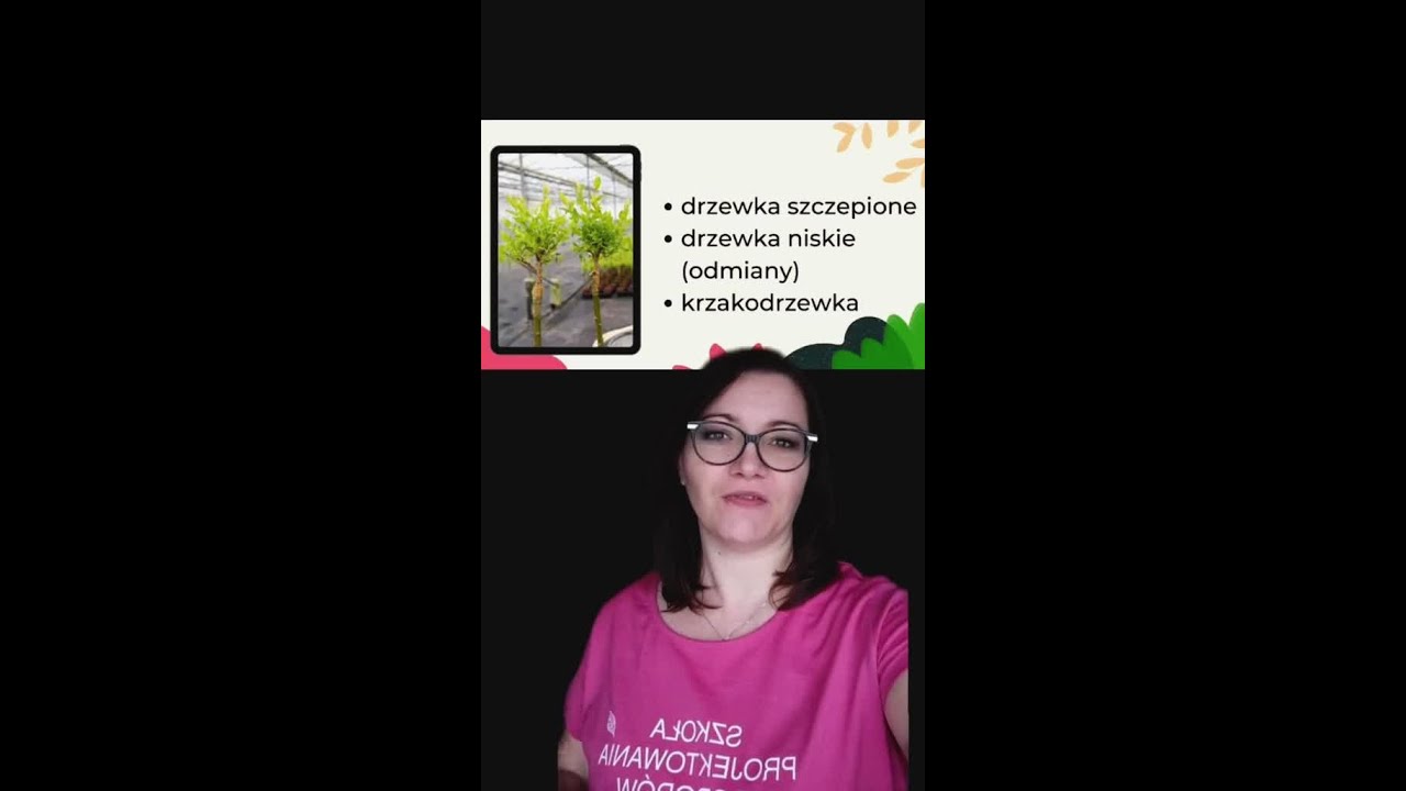 Małe drzewka do ogrodu