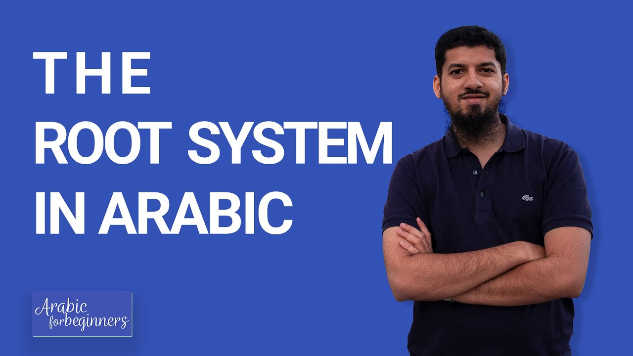 The Arabic Root System
