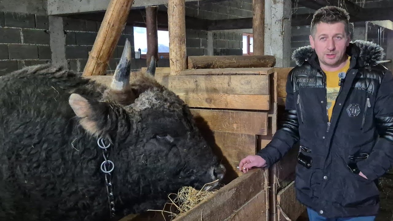 Adnan Mostić zbog dobrih komšija premješta koridu u Malešiće kod Ilijaša 31.05.2026