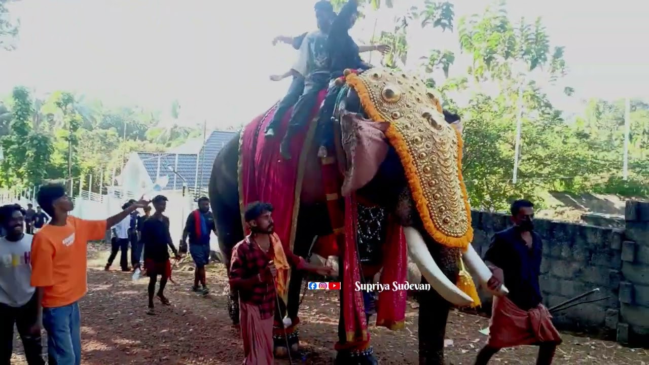 മൂലേപ്പാട് പള്ളി പെരുന്നാൾ !!!!!