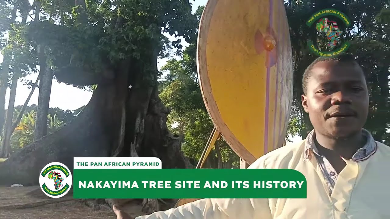 #papdebate:Here're Facts About Nakayima Tree Cultural Site and Its Rich History In Mubende