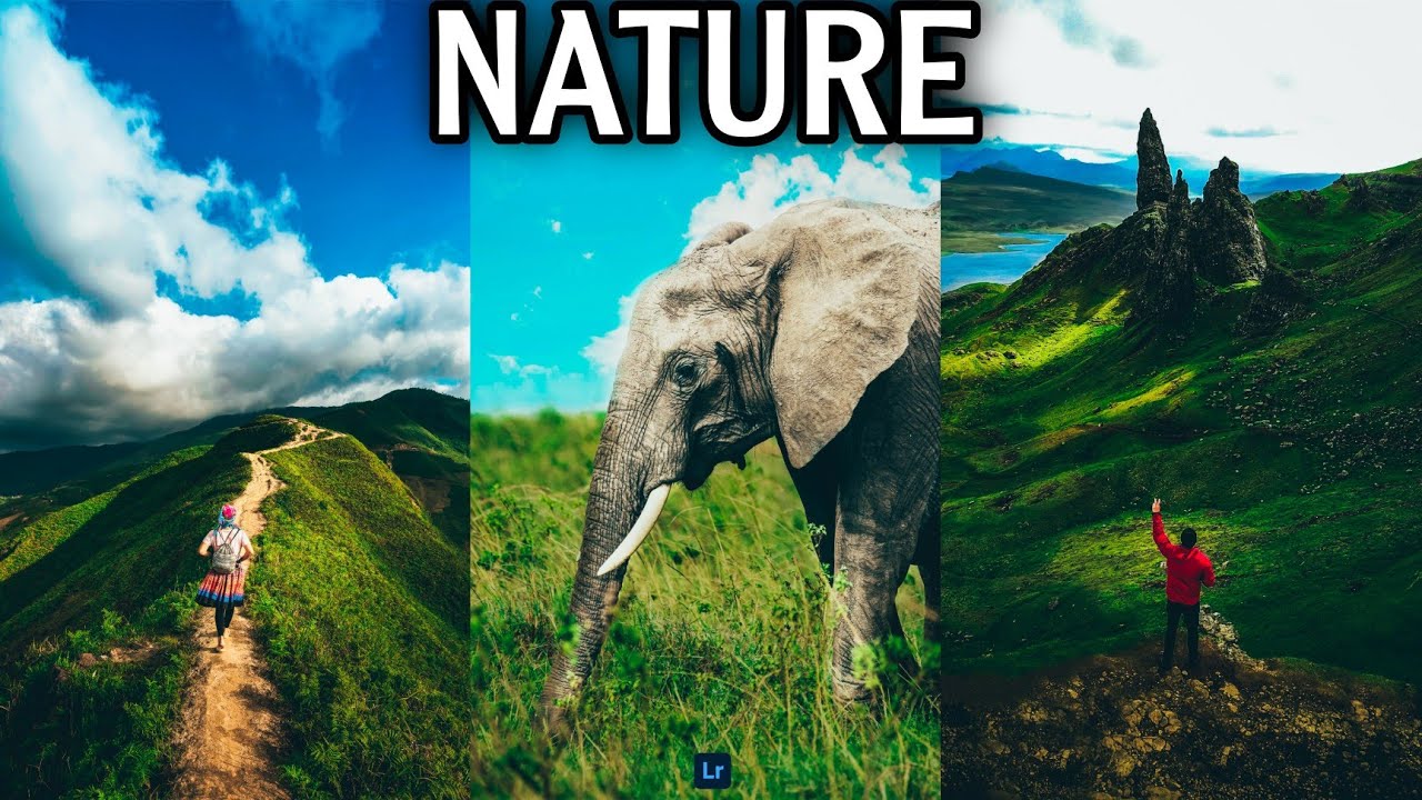 NATURE - Preset Tutorial | Free Lightroom Premium Preset | Lightroom Mobile Tutorial