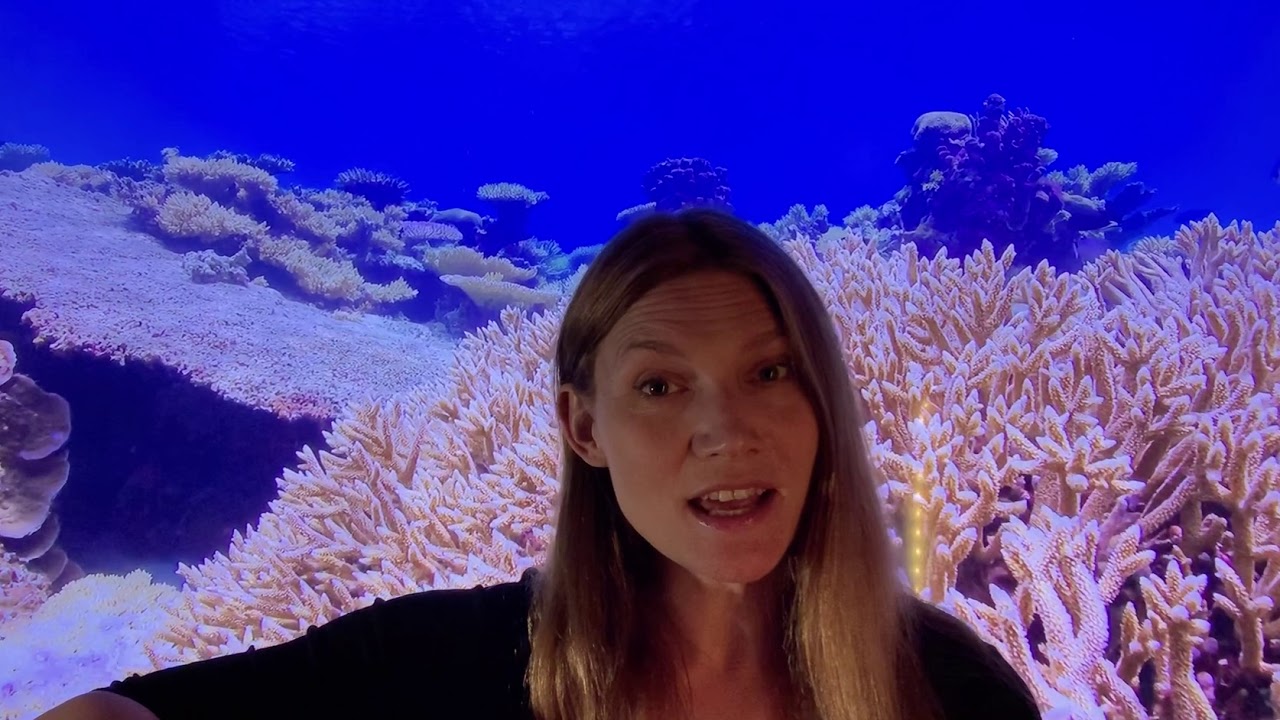 Piosenka logopedyczna.