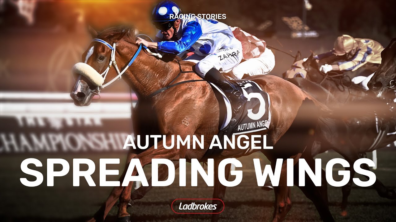 Autumn Angel Is Ready For The Ladbrokes Queensland Derby
