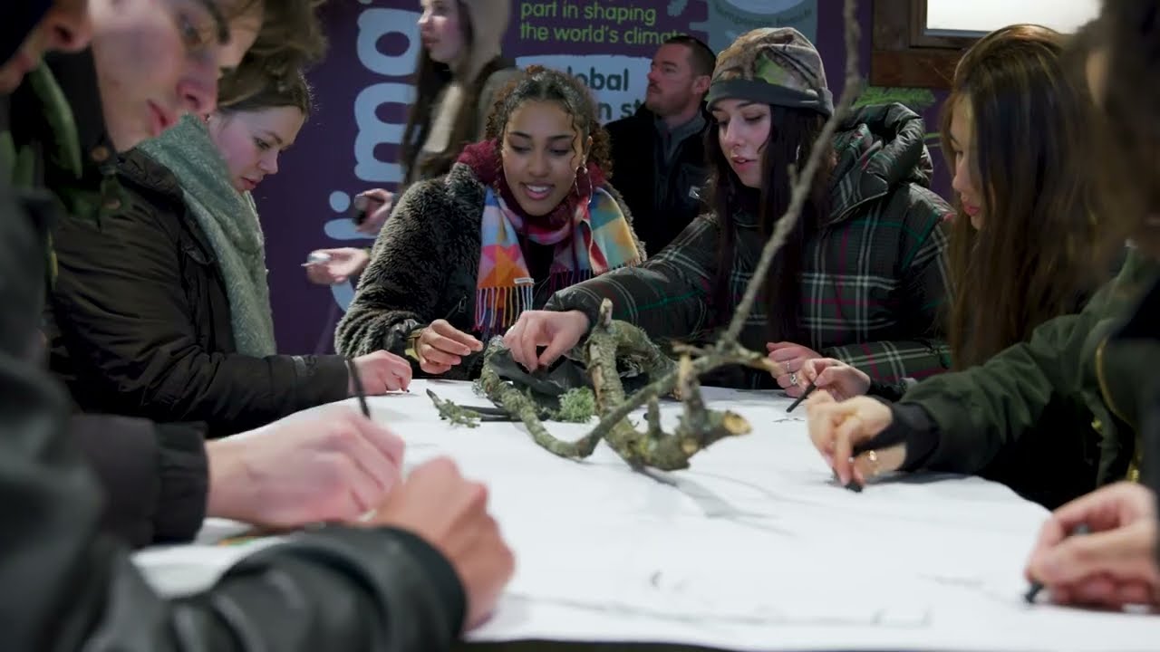 UAL Foundation x Forestry England - Into the Forest