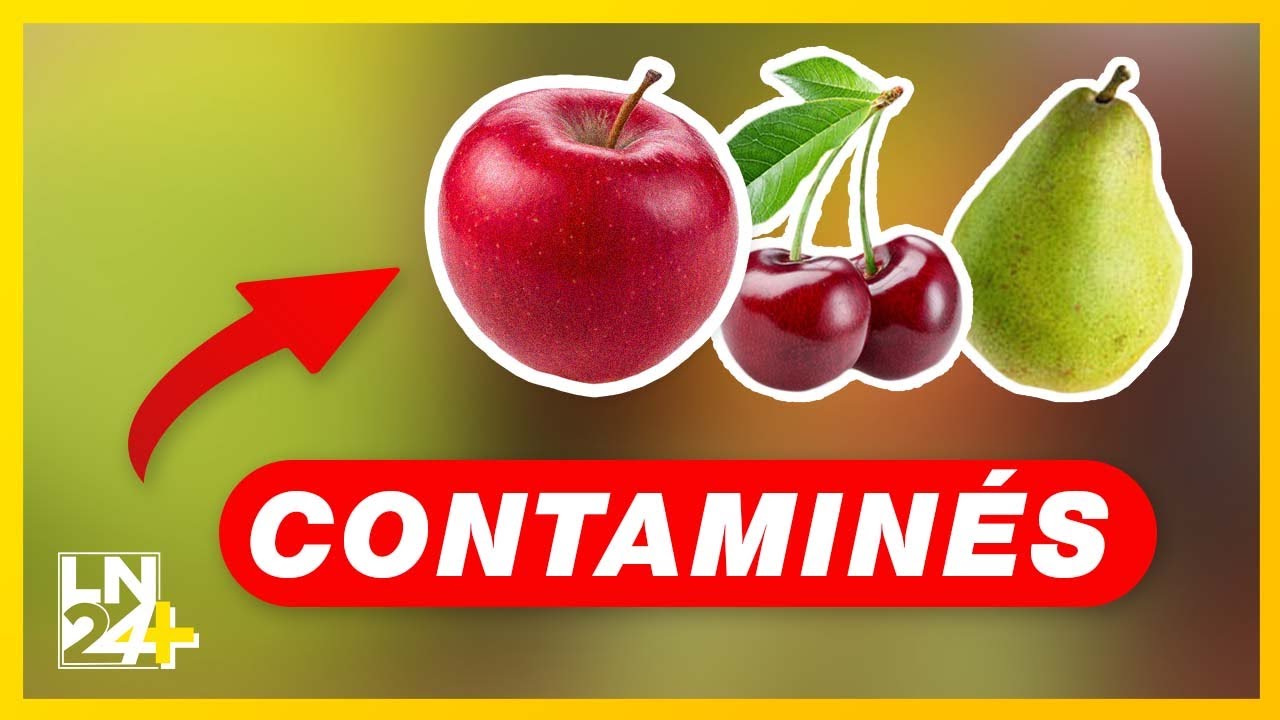 Comment des pesticides interdits en Europe se retrouvent dans nos fruits et légumes #2MIN24