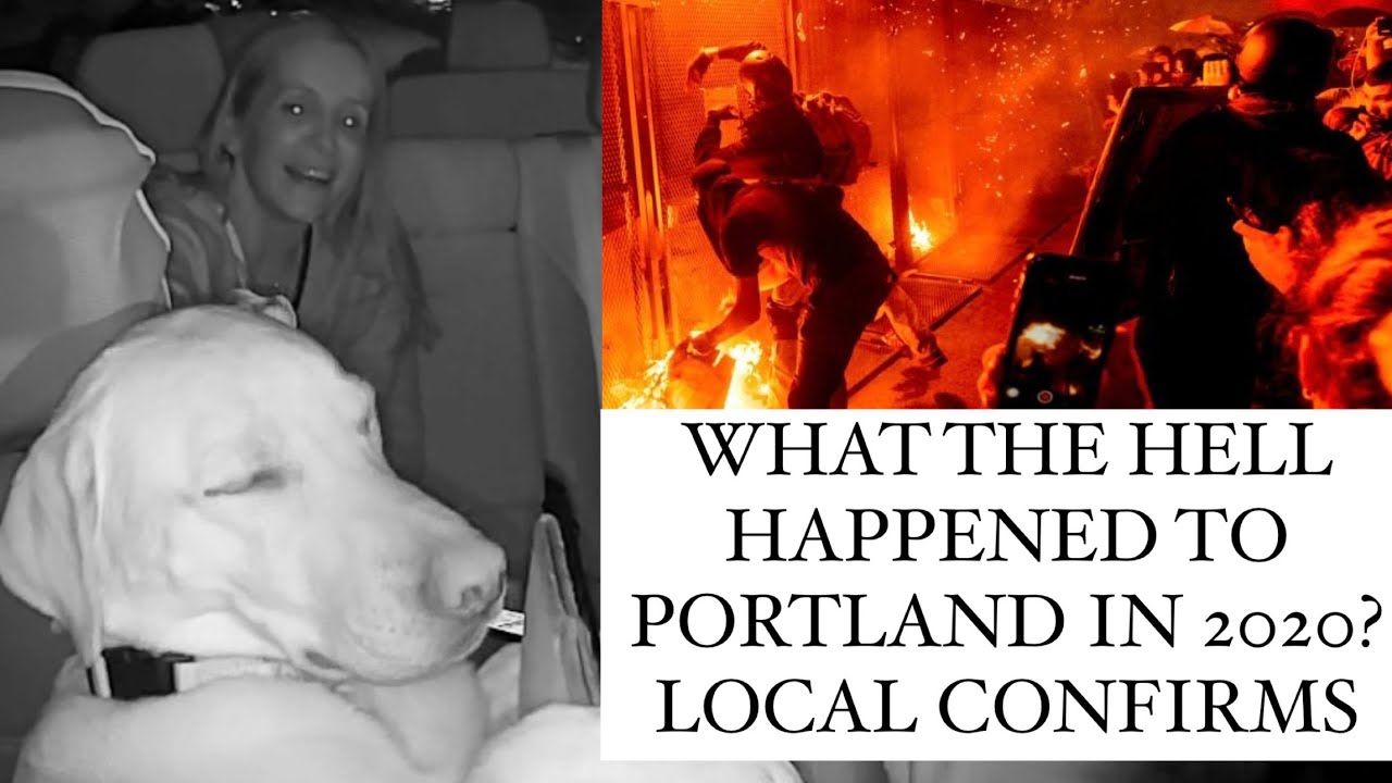 Passenger Explains The Collapse of Portland - Bowie&rsquo;s Uber Vlog Ep. 7