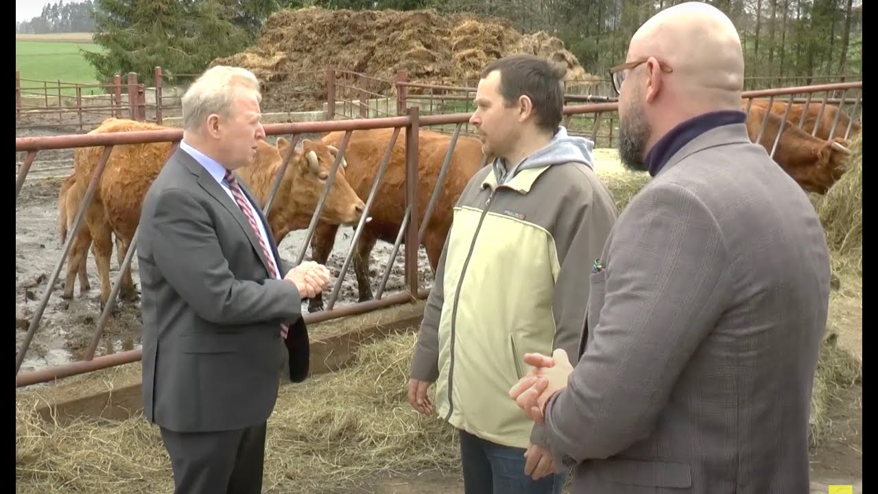 Z komisarzem UE o problemach hodowców bydła mięsnego