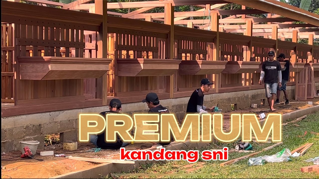 PROSES PEMASANG KANDANG KAMBING PREMIUM CLAS // kandang sni