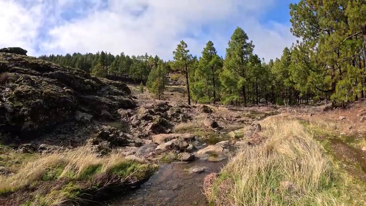 SONIDO de CASCADA Pequeña y RÍO Agua Cayendo y Fluyendo Suave Relajante para Relajarse