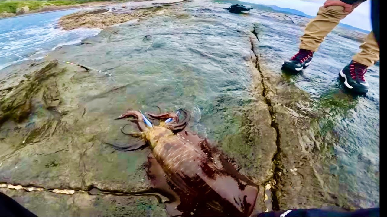 【ヤエン釣り】初磯でまたもやモンスター降臨！今回は色々事件が起きました！