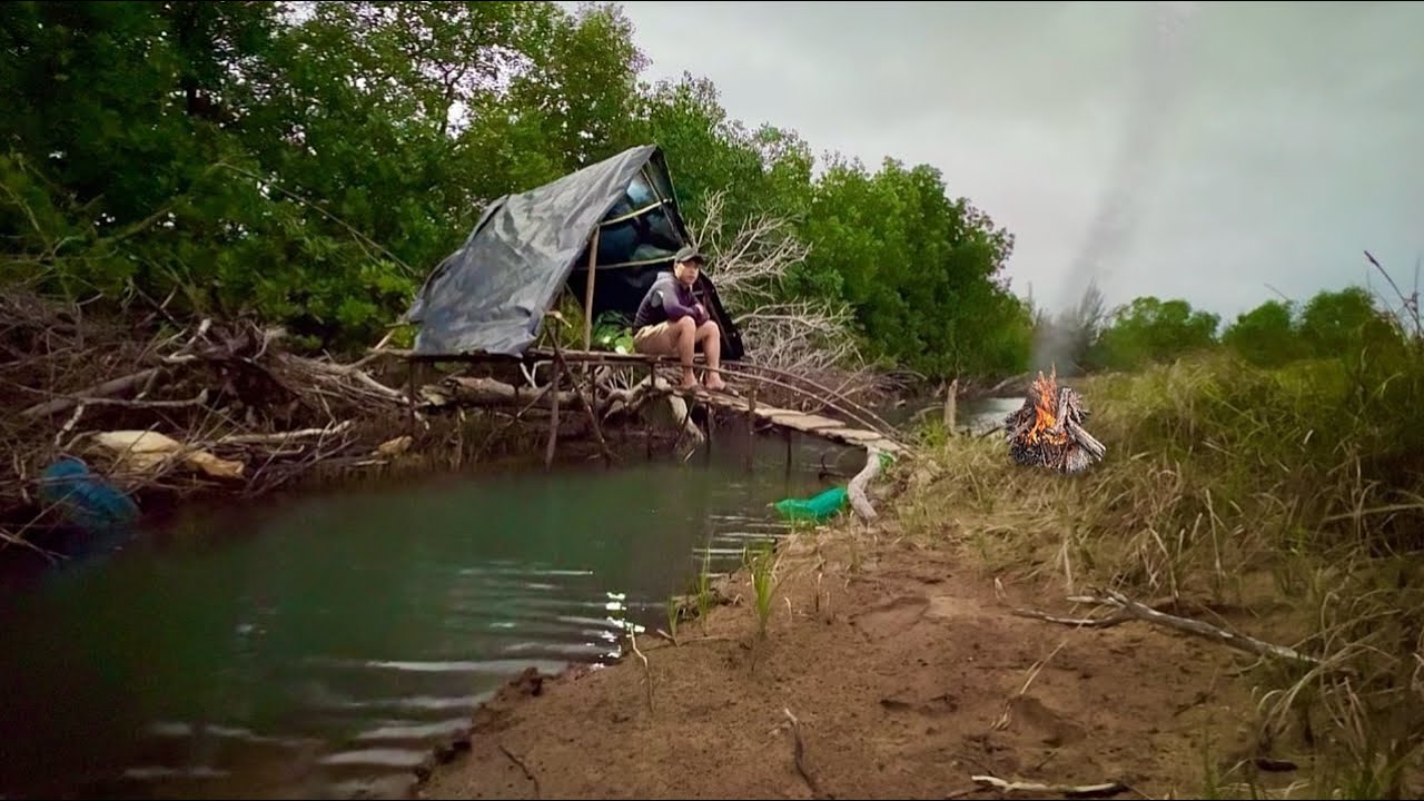 Xây dựng nơi trú ẩn ven rừng ngập nặm tìm kiếm thức ăn cho ngày mưa | build shelters along mangroves