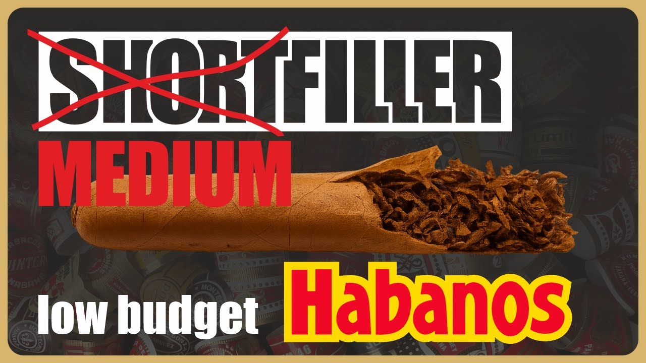 Preiswerte Habanos