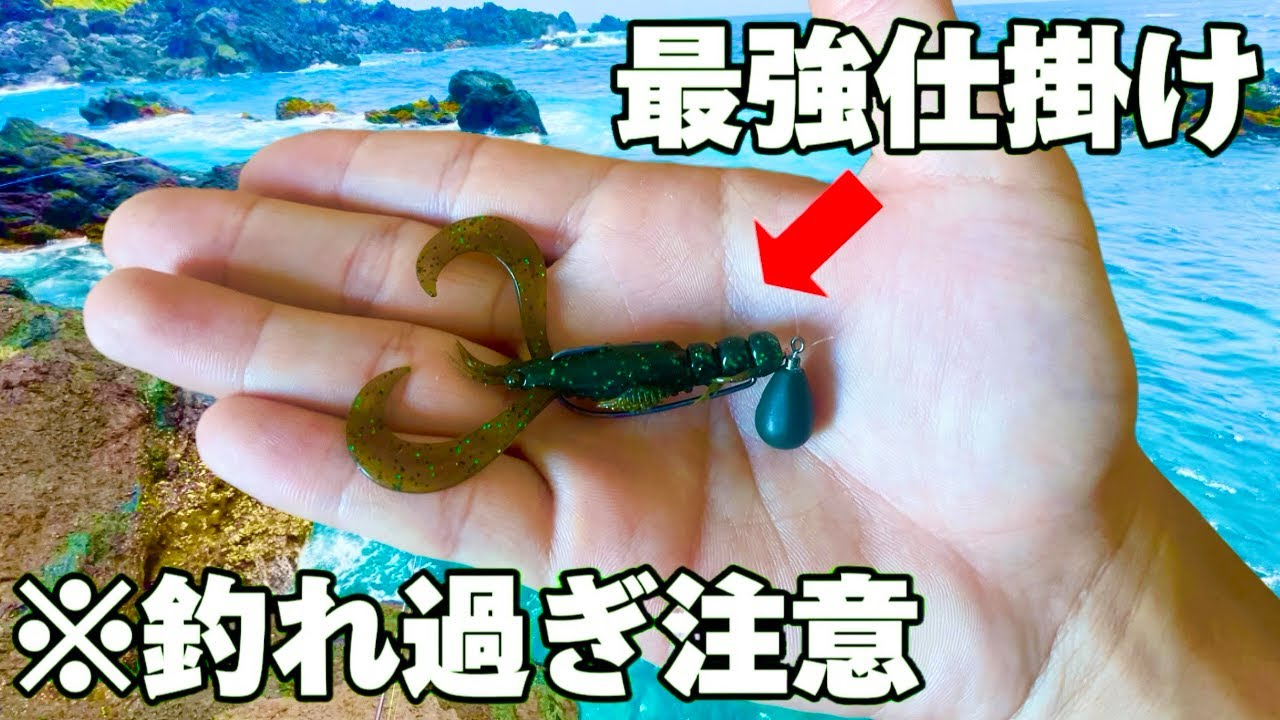 「フリーリグ」で絶品高級魚を釣りまくる【伊豆大島】