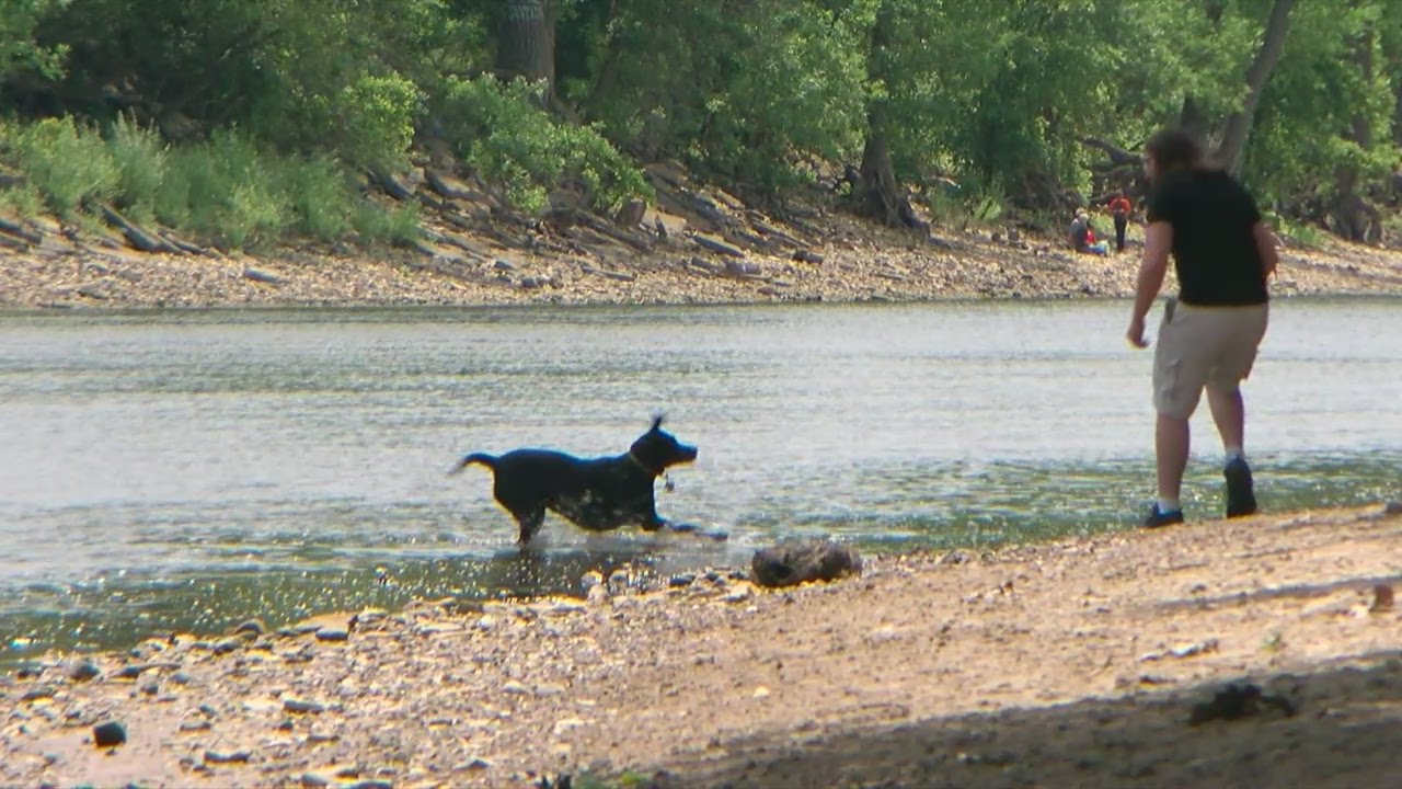 WCCO Viewers' Choice For Best Dog Park In Minnesota
