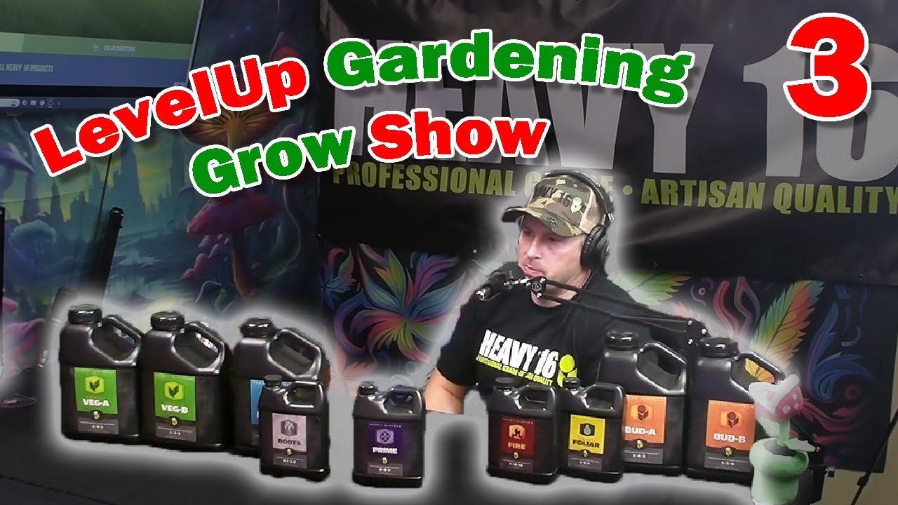 How to Feed Your Cannabis Plants RIGHT &ndash; Pro Tips from Heavy16 - LUGS Ep. 3