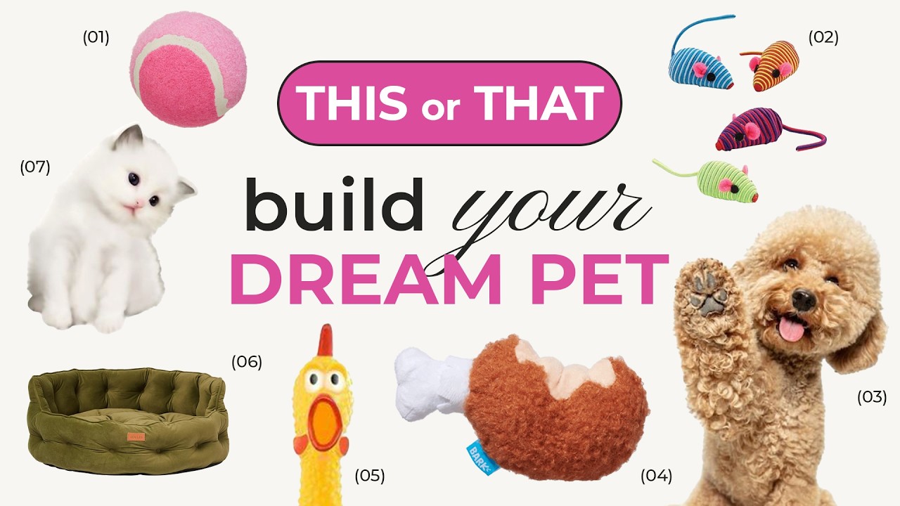 Build your DREAM PET 🐶🐱 THIS or THAT?