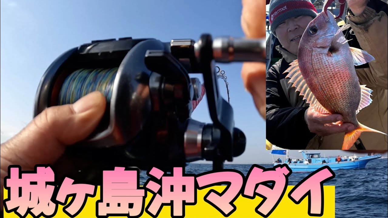 城ヶ島沖マダイ