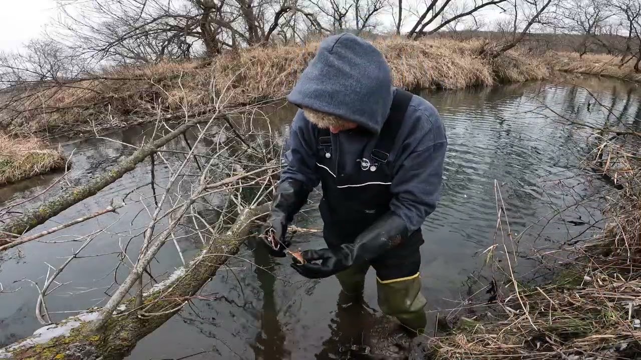 Pine River Beaver using the MB750 and drowning cable