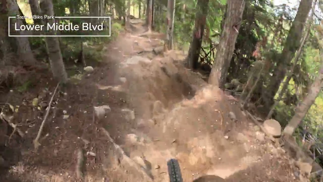 2025 MTB Compilation: Mid-40s Average Downhill MTB
