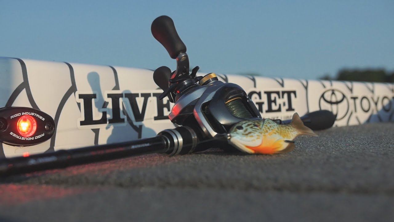 LIVETARGET Hollow Body Sunfish