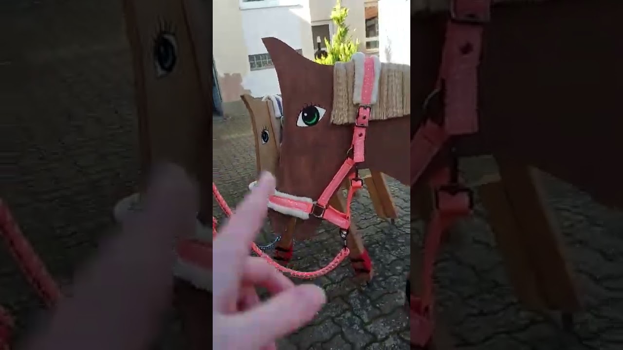 Ausritt mit Cindi und Toffi als Handpferd 🤭❤🐴