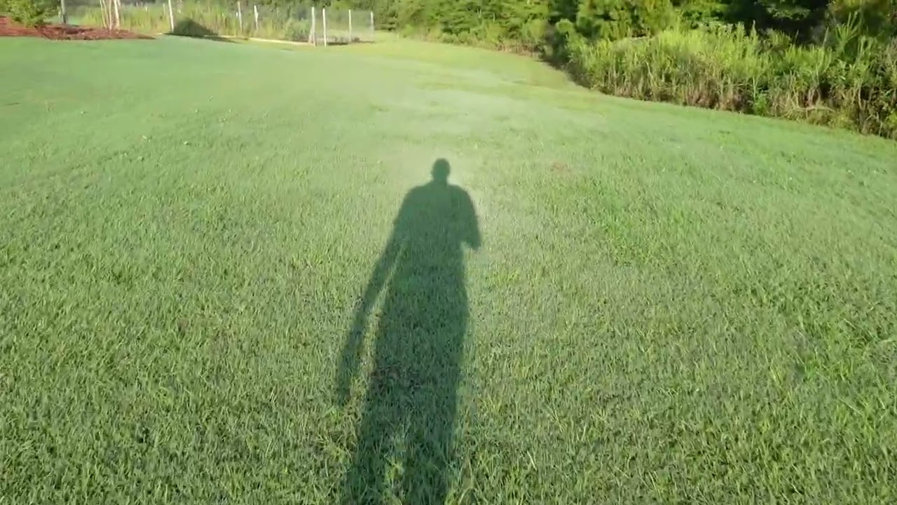 Establishing a Massive 2.5-Acre Lawn