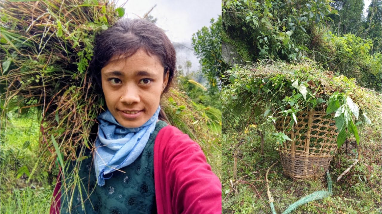 आज बारी तिर घाँस काट्दै हामी☺️🤫||Village life style vlog 