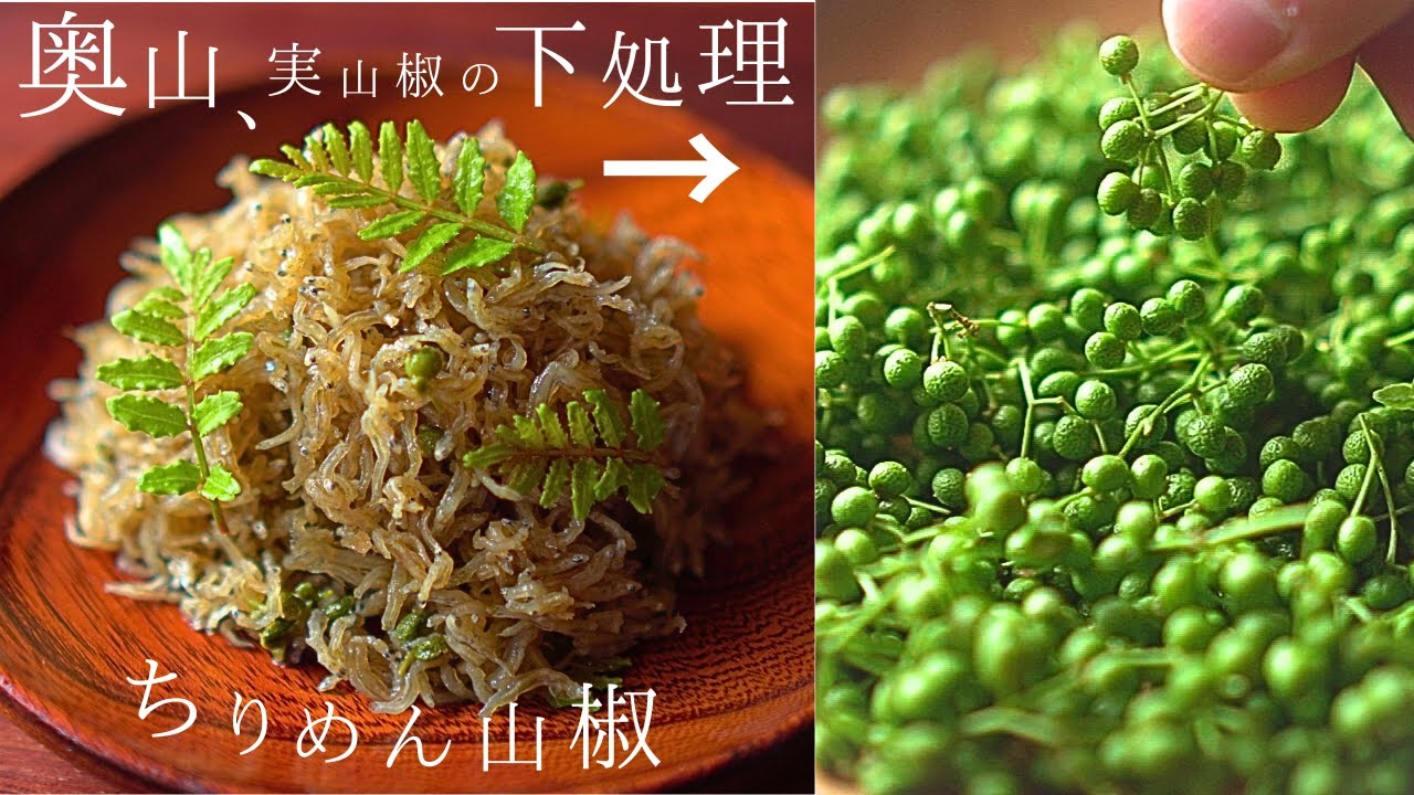 保存版！【実山椒 レシピ】ちりめん山椒の作り方と実山椒佃煮『実山椒 下処理』本来の仕方