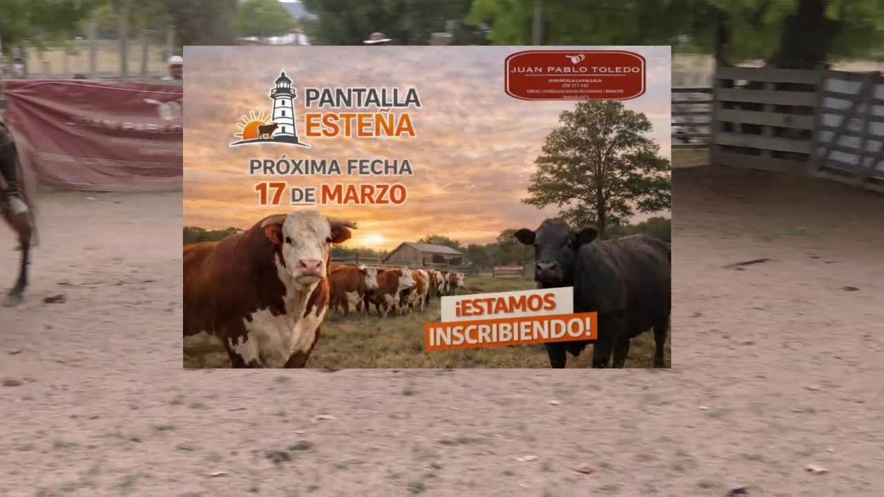 Feria Mensual de Juan Pablo Toledo - 19 de Febrero