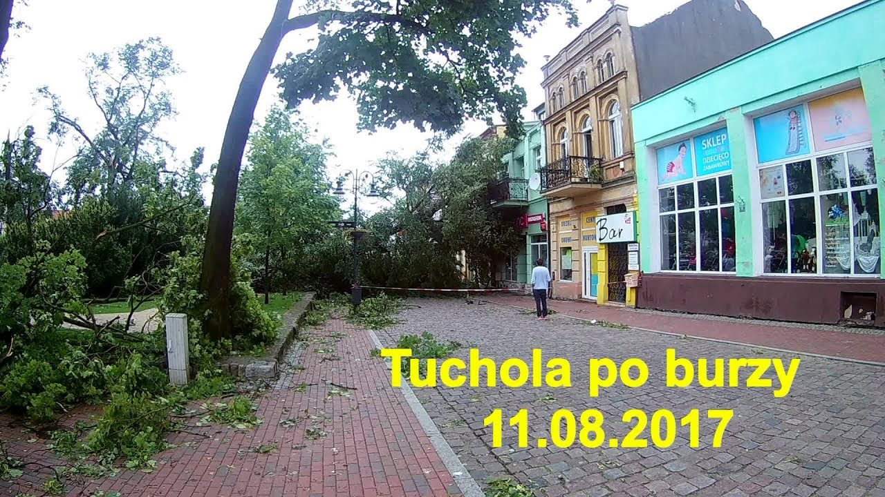 Tuchola po burzy kt&oacute;ra była 11.08.2017.