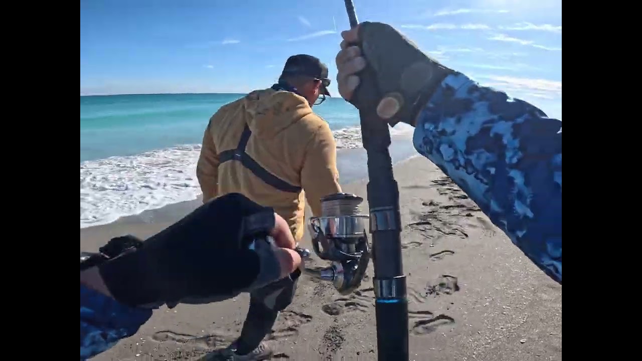 Captura de tiburón en la playa shark 🦈 