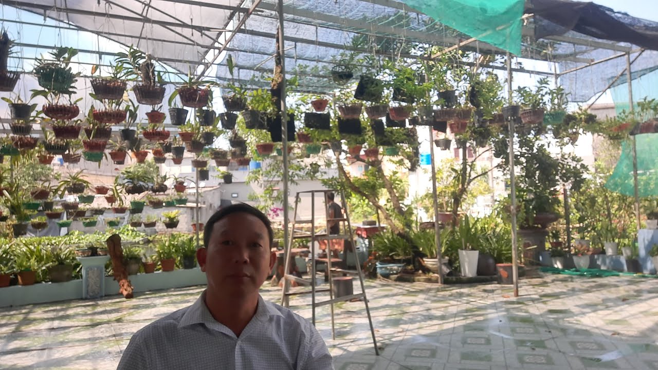 Người nông dân trồng lan, giao lưu và chia sẻ