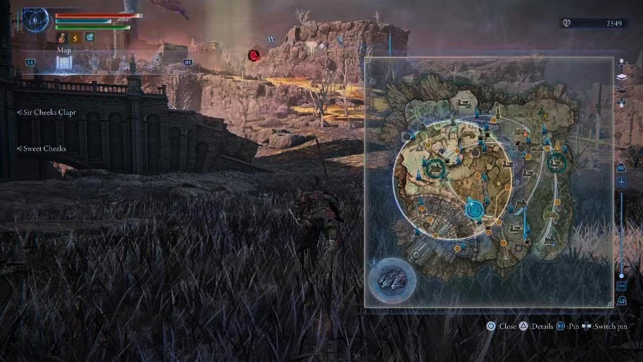 ELDEN RING NIGHTREIGN_Dogs should be a gimme