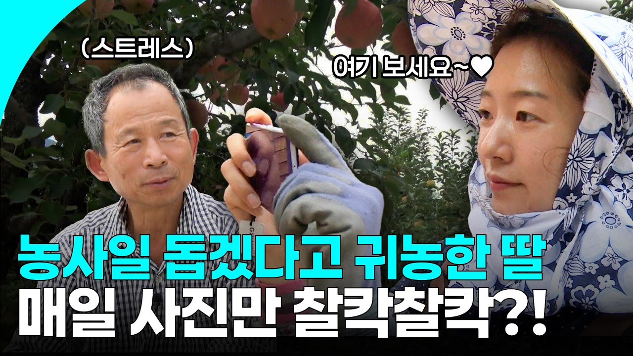 “왜 나를 찍어💢” 3천 평 과수원에서 츤데레 아버지와 사과 따는 딸 I KBS 161015 방송