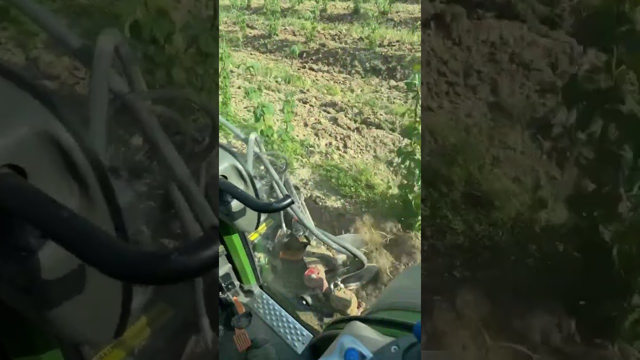 Hopfenackern mit 3 Fendt 200P Schleppern #Hopfen #allesf&uuml;rsbier #fendtpower