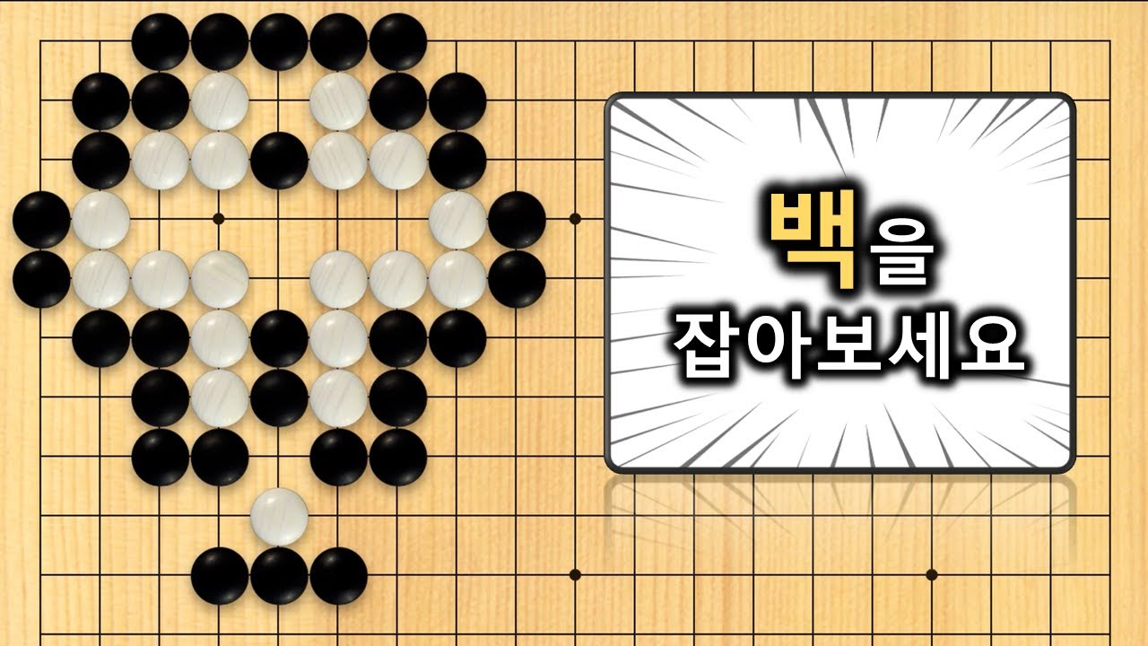 【3분 사활】바둑 중급문제 : 미끼가 좋아야 대어를 낚습니다